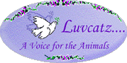 Luvcatz...a voice for animals